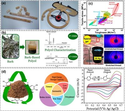 樹基生物聚合物作為可持續多功能材料的研究進展