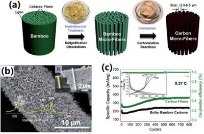 中科大俞漢青EES綜述:生物碳基材料在能量?jī)?chǔ)存與轉(zhuǎn)換中的應(yīng)用