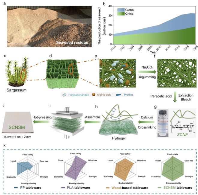 中科大俞書宏院士團隊AM:可食用、超強、熱穩(wěn)定好的海藻基結(jié)構(gòu)材料,可生物降解餐具新選擇!