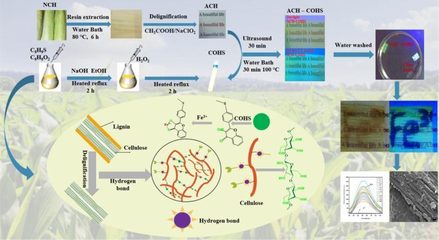 我校生物質(zhì)基功能復(fù)合材料創(chuàng)新團隊取得系列新成果