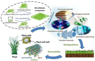 論文推薦丨基于&ldquo;自增強&rdquo;作用的全纖維素復(fù)合材料