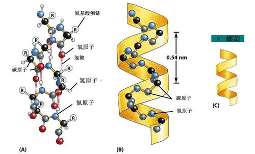 原來曬被子有很多誤區(qū),不注意就白曬了 最后一個你有沒有犯過