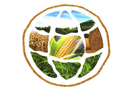 生物基材料聚乳酸pla將是助力綠色環(huán)保的未來(lái)之鑰